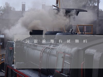 闪银逾期有延期吗 闪银逾期有延期吗