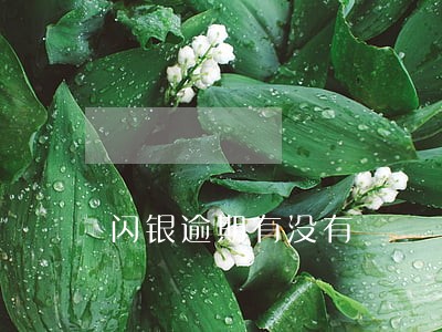 闪银逾期有没有 闪银逾期有没有