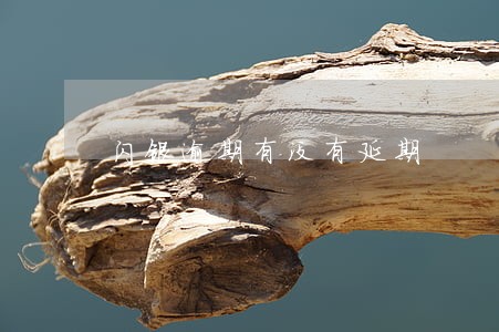 闪银逾期有没有延期 闪银逾期有没有延期