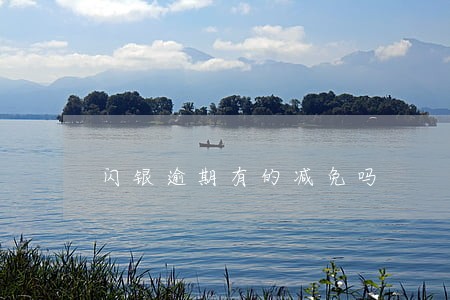 闪银逾期有的减免吗 闪银逾期有的减免吗