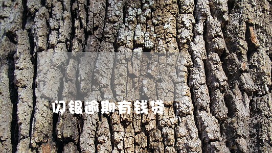 闪银逾期有钱贷 闪银逾期有钱贷