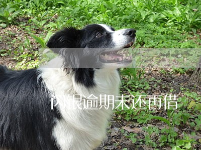 闪银逾期未还再借 闪银逾期未还再借