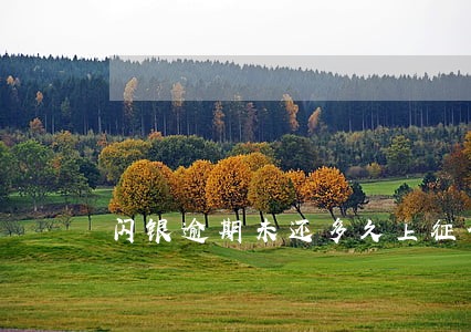 闪银逾期未还多久上征信 闪银逾期未还多久上征信