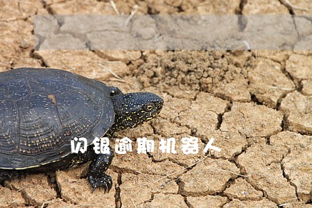 闪银逾期机器人 闪银逾期机器人