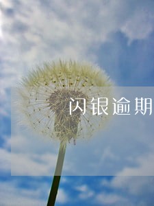 闪银逾期没超过危险期 闪银逾期没超过危险期