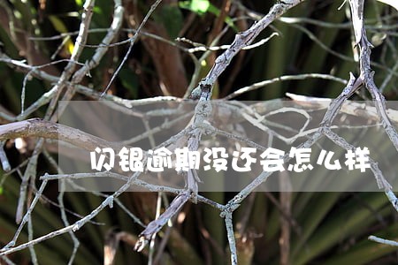 闪银逾期没还会怎么样 闪银逾期没还会怎么样
