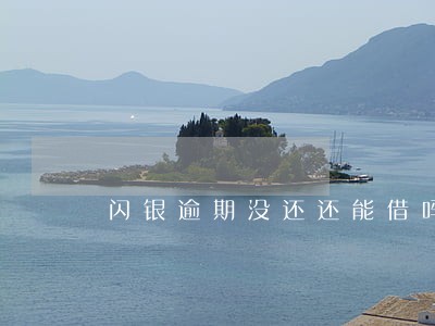 闪银逾期没还还能借吗 闪银逾期没还还能借吗
