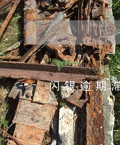 闪银逾期滞纳金可以减免吗