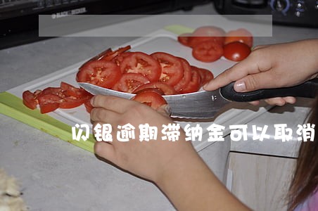 闪银逾期滞纳金可以取消吗