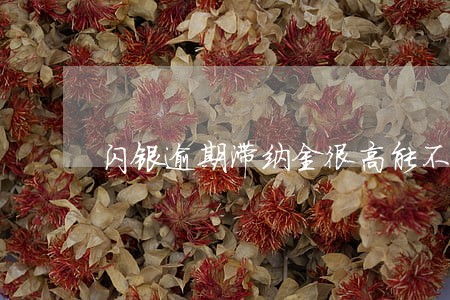 闪银逾期滞纳金很高能不能不还 闪银逾期滞纳金很高能不能不还