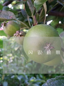 闪银逾期玖富玩卡能下吗