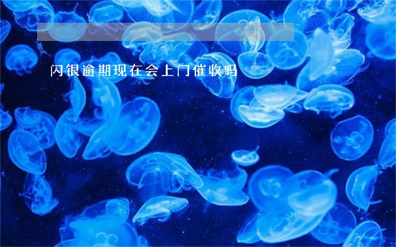 闪银逾期现在会上门催收吗