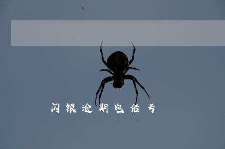 闪银逾期电话号