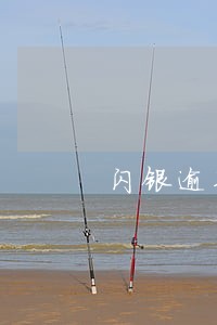 闪银逾期疫情期间可以申请延期吗 闪银逾期疫情期间可以申请延期吗