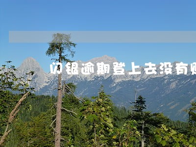 闪银逾期登上去没有账单 闪银逾期登上去没有账单