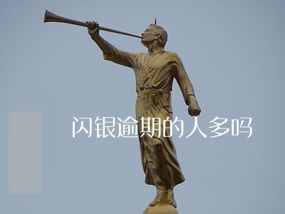 闪银逾期的人多吗 闪银逾期的人多吗