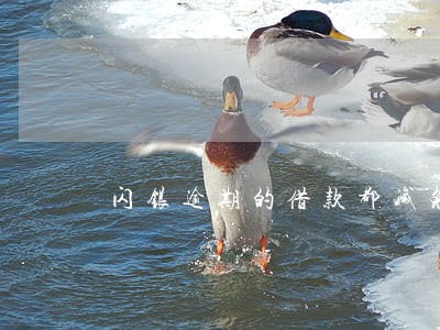 闪银逾期的借款都减免了 闪银逾期的借款都减免了