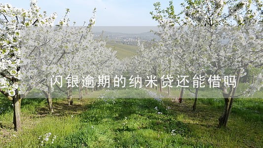 闪银逾期的纳米贷还能借吗 闪银逾期的纳米贷还能借吗