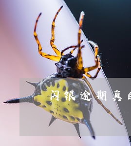 闪银逾期真的会上门吗 闪银逾期真的会上门吗