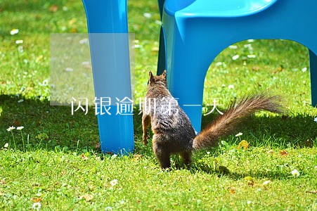 闪银逾期第一天 闪银逾期第一天
