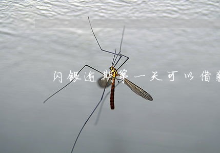闪银逾期第一天可以借款吗 闪银逾期第一天可以借款吗