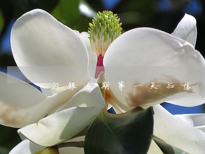 闪银逾期第一天征信