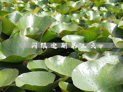 闪银逾期第三天