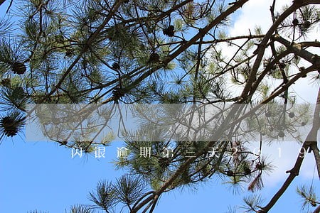 闪银逾期第三天2019 闪银逾期第三天2019