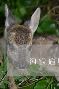 闪银逾期第三天催收恐吓