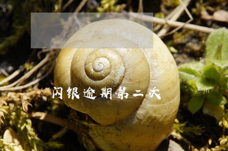 闪银逾期第二次 闪银逾期第二次