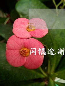 闪银逾期第几天打人工电话 闪银逾期第几天打人工电话