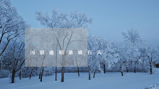 闪银逾期第第五天 闪银逾期第第五天