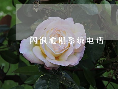 闪银逾期系统电话