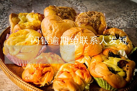 闪银逾期给联系人发短 闪银逾期给联系人发短
