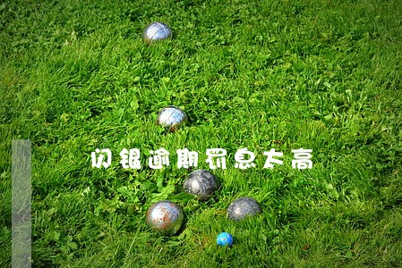 闪银逾期罚息太高 闪银逾期罚息太高
