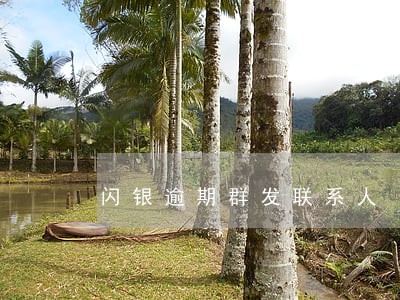 闪银逾期群发联系人 闪银逾期群发联系人