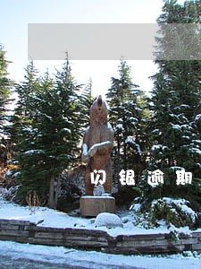 闪银逾期老哥 闪银逾期老哥