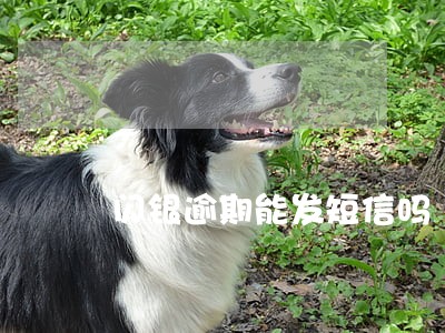 闪银逾期能发短信吗 闪银逾期能发短信吗