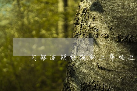 闪银逾期能强制上岸吗近期 闪银逾期能强制上岸吗近期