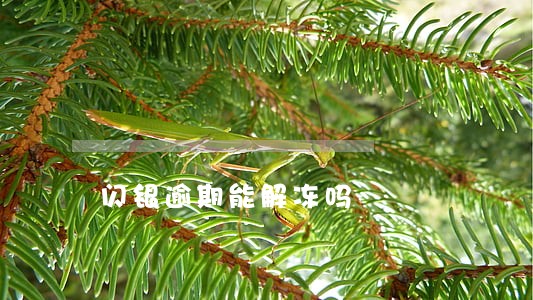 闪银逾期能解冻吗 闪银逾期能解冻吗