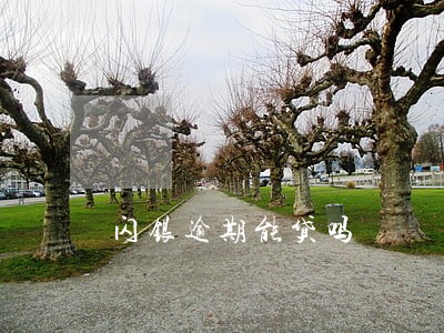 闪银逾期能贷吗 闪银逾期能贷吗