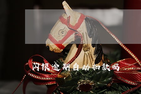 闪银逾期自动扣款吗 闪银逾期自动扣款吗