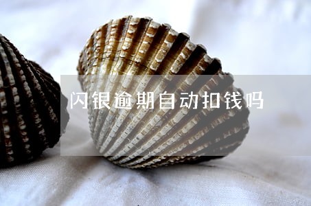 闪银逾期自动扣钱吗 闪银逾期自动扣钱吗