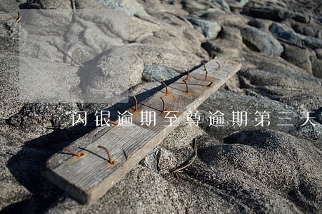 闪银逾期至尊逾期第三天 闪银逾期至尊逾期第三天
