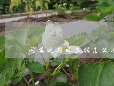 闪银逾期被冻结怎么办 闪银逾期被冻结怎么办