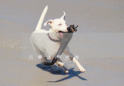 闪银逾期被拒 闪银逾期被拒