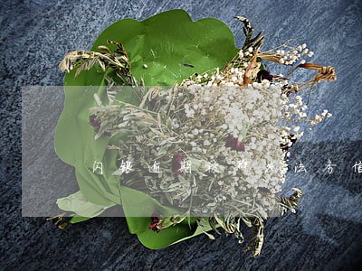 闪银逾期被群发法务信息 闪银逾期被群发法务信息