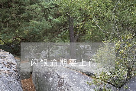 闪银逾期要上门 闪银逾期要上门