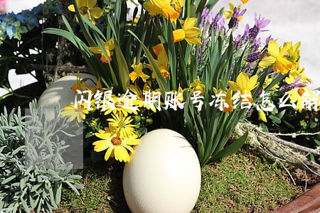 闪银逾期账号冻结怎么解冻 闪银逾期账号冻结怎么解冻