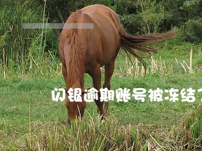 闪银逾期账号被冻结了